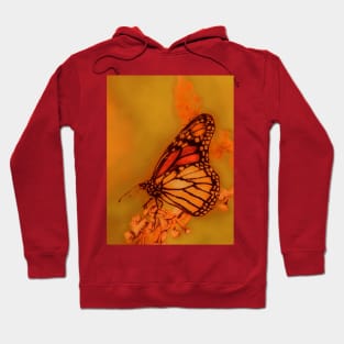 Butterfly Hoodie